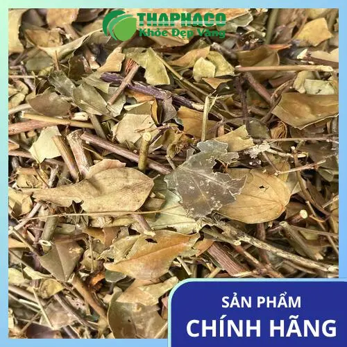 Chè Vằng THAPHACO - sản phẩm đóng gói túi 1kg, 500g, 100g tiện lợi