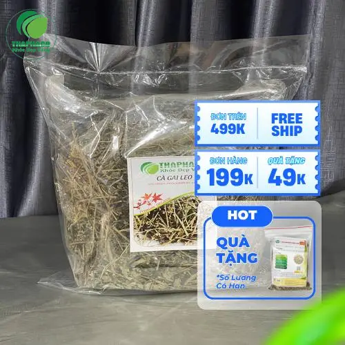 Chế biến món ăn từ cà gai leo
