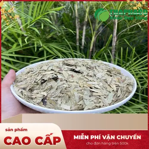 Phan Tả Diệp THAPHACO đã đóng gói