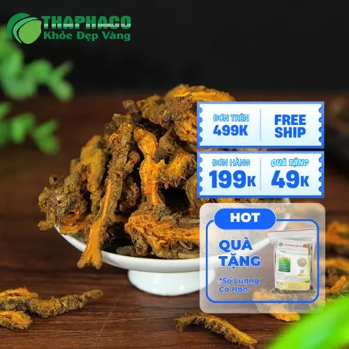 Hoàng Liên đang được sao tẩm với dược liệu khác