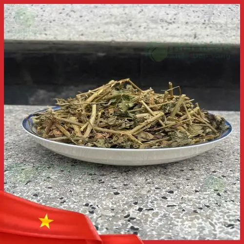 Liên hệ tư vấn cà gai leo Thaphaco