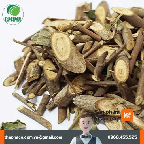 An Xoa THAPHACO – Chuẩn bị giao đến tay khách hàng khắp TP.HCM