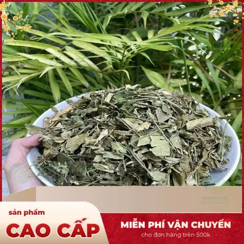 Mua Dây Thìa Canh sấy khô tại THAPHACO TP.HCM