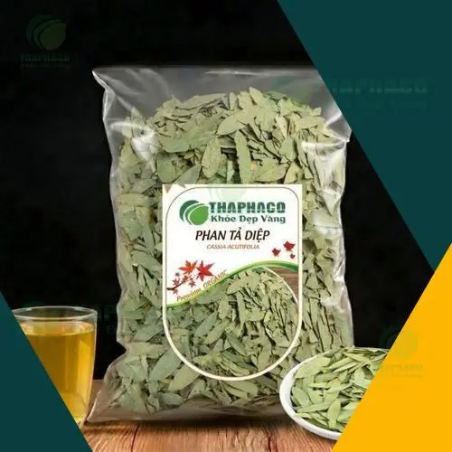 Phan Tả Diệp Thapha.vn chất lượng