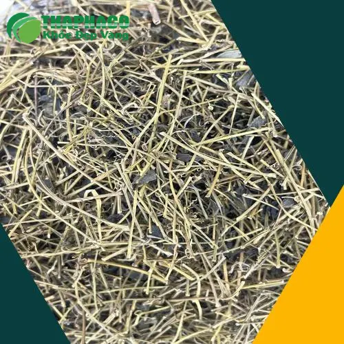 Lộ trình hiệu quả khi dùng giảo cổ lam