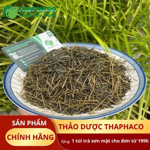 Giảo cổ lam sấy khô nguyên chất đóng gói chuẩn tại THAPHACO
