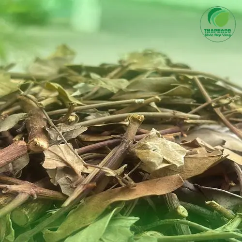 Sản phẩm chè vằng khô đóng gói của Thảo Dược THAPHACO