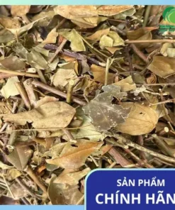 Chè Vằng Nguyên Chất THAPHACO: Sức Khỏe Từ Thiên Nhiên