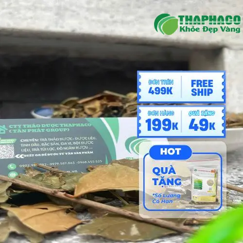 Lợi ích sức khỏe đa dạng từ chè vằng THAPHACO