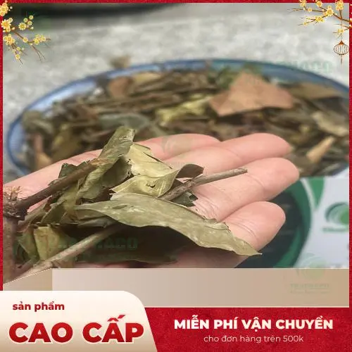 Hướng dẫn sử dụng chè vằng đúng cách