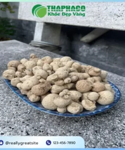 1kg Củ Tam Thất Nam Tại TP.HCM Giá Bao Nhiêu? THAPHACO Uy Tín