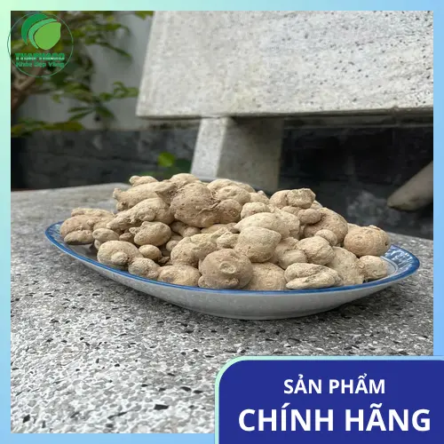 Củ tam thất nam sấy khô chất lượng cao từ Thảo Dược THAPHACO