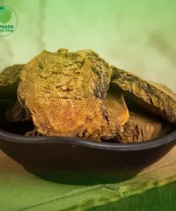 Đại Hoàng Sấy Khô 1kg ThaphaCo: Giá Rẻ, Chất Lượng Vượt Trội