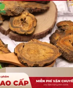 Đại Hoàng THAPHACO: Địa chỉ bán sỉ giá tốt tại TP.HCM