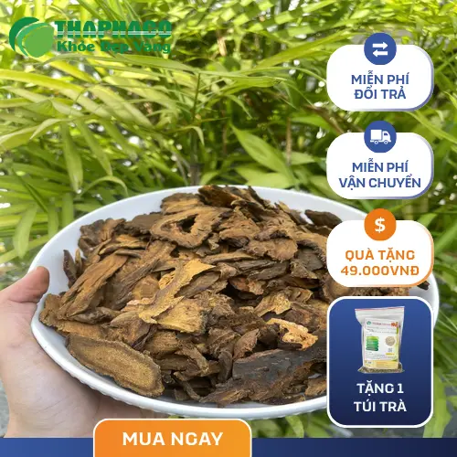 Đại Hoàng sấy khô Thapaco đảm bảo hàm lượng dược chất