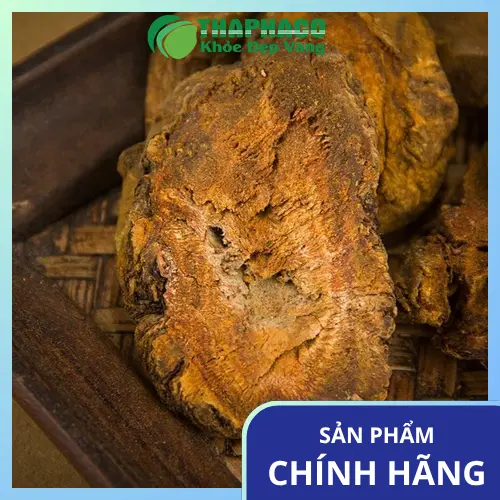 Quy cách đóng gói Đại Hoàng đa dạng: 100g, 500g, 1kg