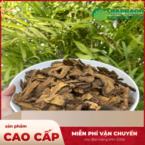 Lợi ích và lưu ý khi dùng Đại Hoàng cho người lớn tuổi