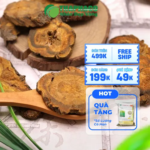 Đại Hoàng sấy khô Thapaco giá tốt tại TP.HCM