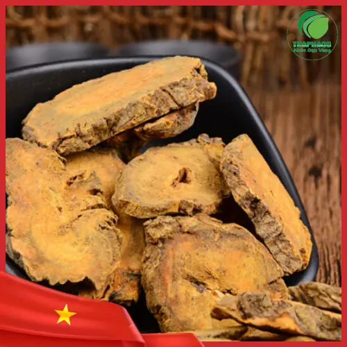 Công dụng của Đại Hoàng trong hỗ trợ tiêu hóa