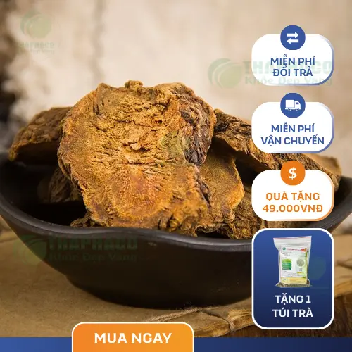 Dược sĩ THAPHACO tư vấn cách dùng Đại Hoàng an toàn