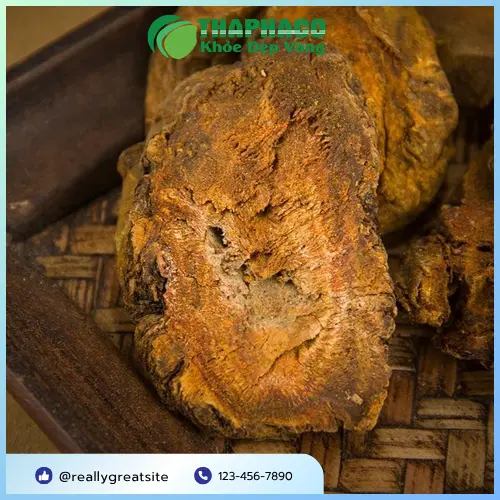 Địa chỉ mua Đại Hoàng sấy khô uy tín tại TP.HCM