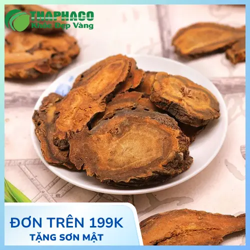 Đại Hoàng khô chuẩn chất lượng tại Thảo Dược THAPHACO