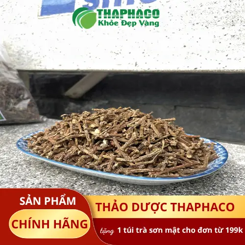 Hình ảnh minh họa dây thần thông tươi, thân và lá xanh