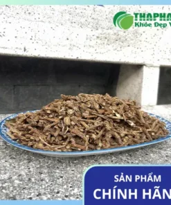 Địa chỉ bán sỉ dây thần thông giá tốt tại TP.HCM
