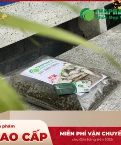 Giá 1kg Dây Thần Thông: Cập Nhật Mới Nhất Tại THAPHACO