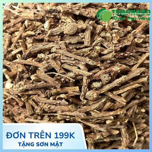 Dược sĩ Thaphaco hướng dẫn liều dùng dây thần thông mỗi ngày an toàn và hiệu quả
