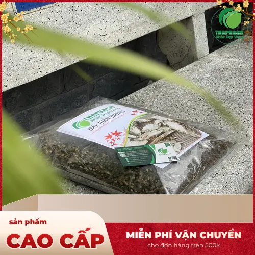 Các đoạn dây thần thông thật khô có kích thước không đồng đều