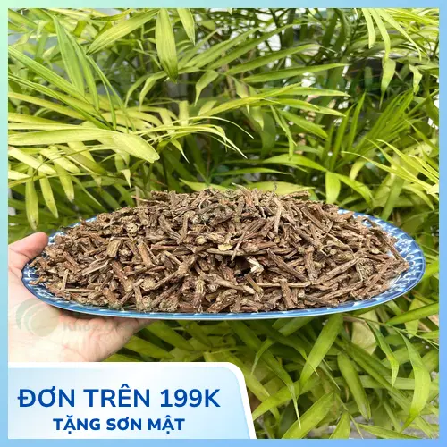 Thapaco - Địa chỉ mua Dây Thần Thông uy tín tại TP.HCM
