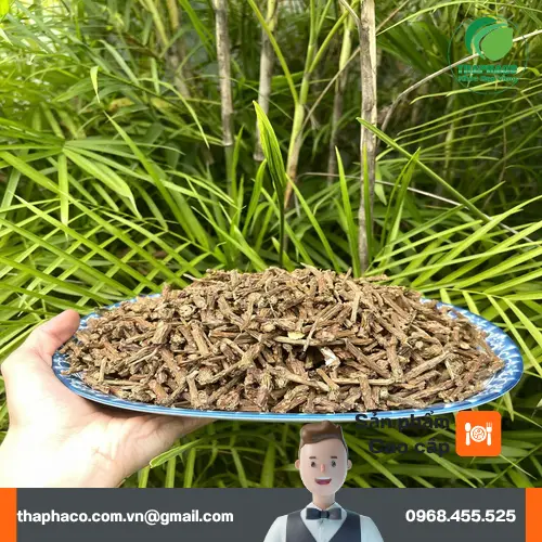 Mua Dây Thần Thông uy tín tại THAPHACO Gò Vấp, TP.HCM