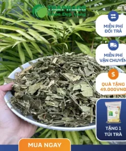 1kg Dây thìa canh giá bao nhiêu tiền? THAPHACO giải đáp!