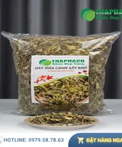 Địa chỉ bán dây thìa canh uy tín tại HCM