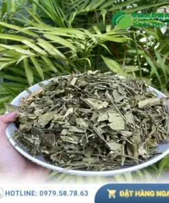 1kg Dây thìa canh giá bao nhiêu? Mua Thaphaco Uy Tín!
