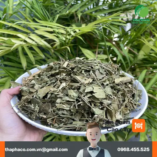 Quy trình chế biến Dây thìa canh tại THAPHACO