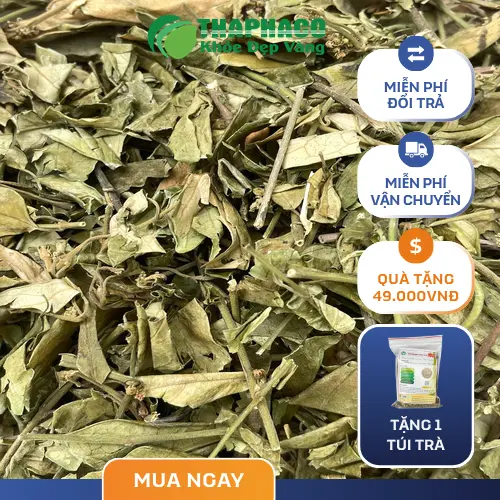 Cách pha trà dây thìa canh đúng cách