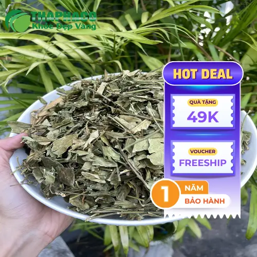 Công dụng của Dây thìa canh THAPHACO đối với sức khỏe