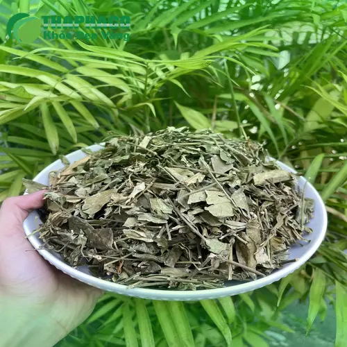 Liều lượng dây thìa canh phù hợp