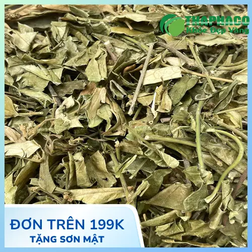 Cách bảo quản Dây thìa canh THAPHACO đúng cách