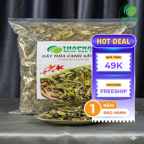 Dược sĩ tư vấn về dây thìa canh