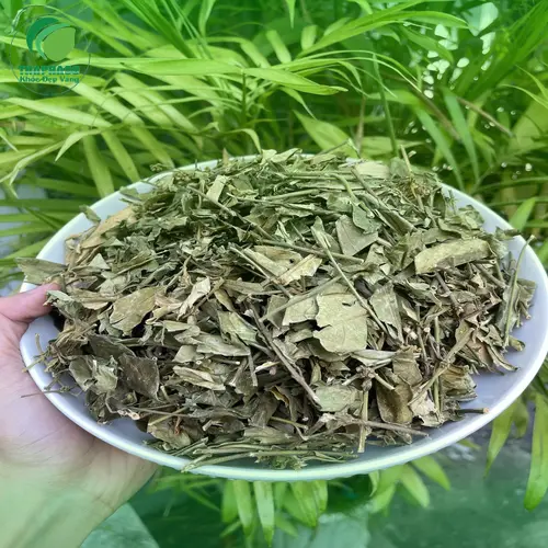 Dây thìa canh khô sẵn sàng sử dụng