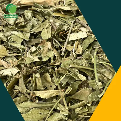 Cách sử dụng Dây thìa canh khô hiệu quả