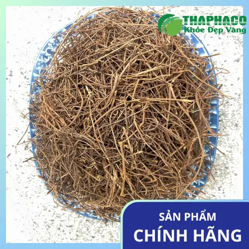 Dây tơ hồng khô chất lượng cao từ Thảo Dược THAPHACO