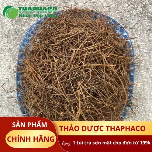 Bài thuốc từ dây tơ hồng giúp bổ thận, tráng dương