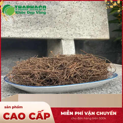 Hình ảnh dây tơ hồng được phơi khô tự nhiên, đảm bảo vệ sinh và chất lượng.