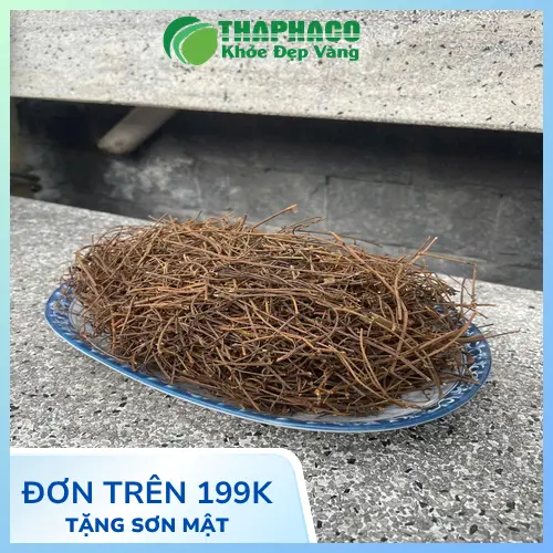 Dây tơ hồng giúp cải thiện sức khỏe sinh lý một cách tự nhiên