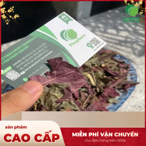 Lá đơn đỏ tươi nguyên chất