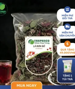 Lá Đơn Đỏ Sấy Khô Túi 1kg: Giá Rẻ, Chất Lượng ThaphaCo